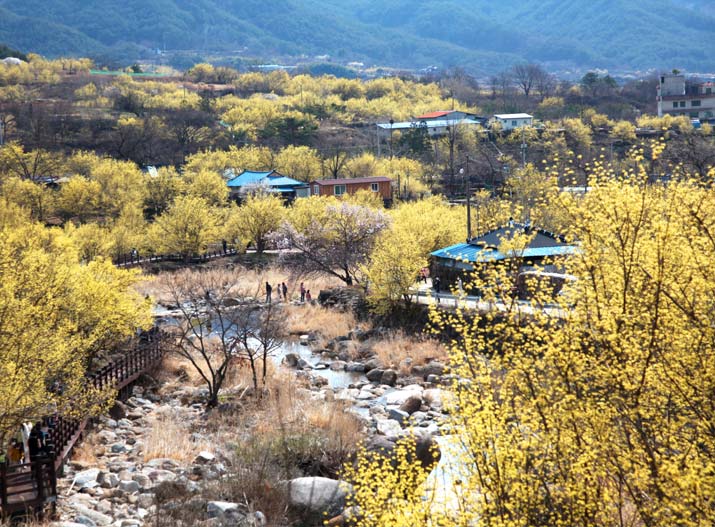 힐링온더트립