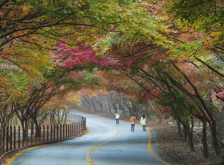힐링온더트립