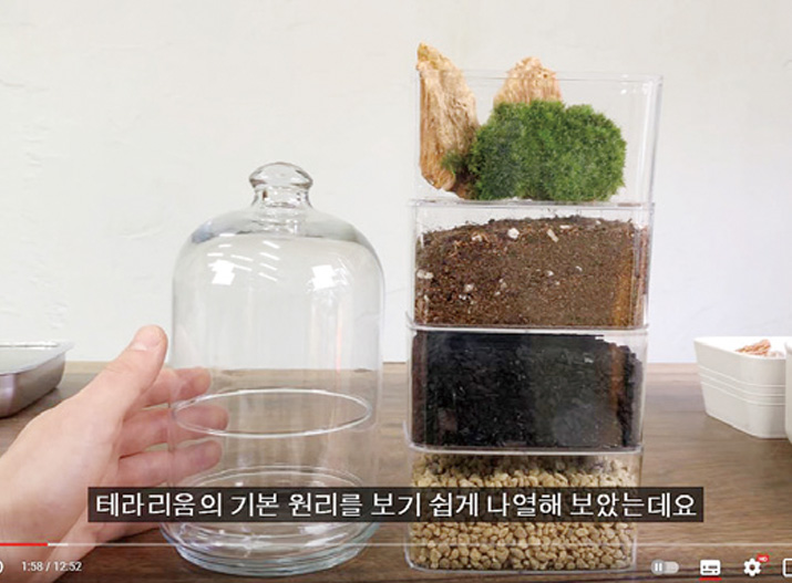 해피투게더