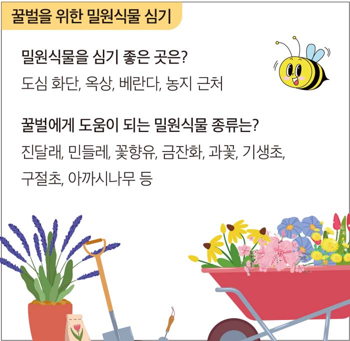 꿀벌을 지키기 위한 나와 우리의 노력