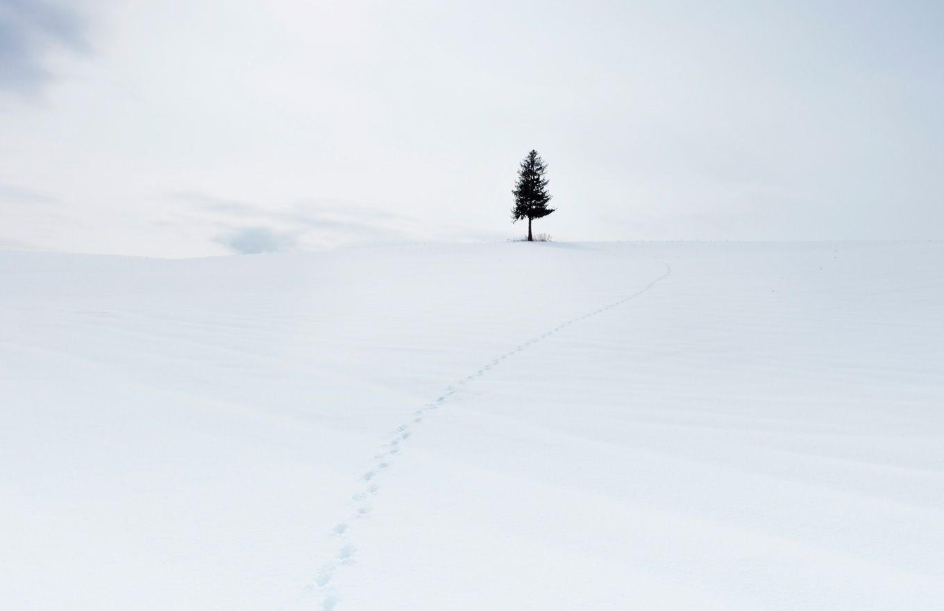 나에게 가능성은 나에게 가능성은
